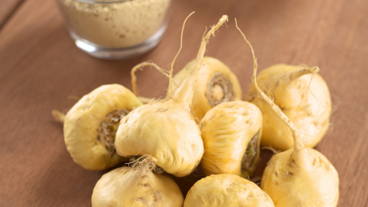 Maca peruana: saiba tudo sobre este vegetal